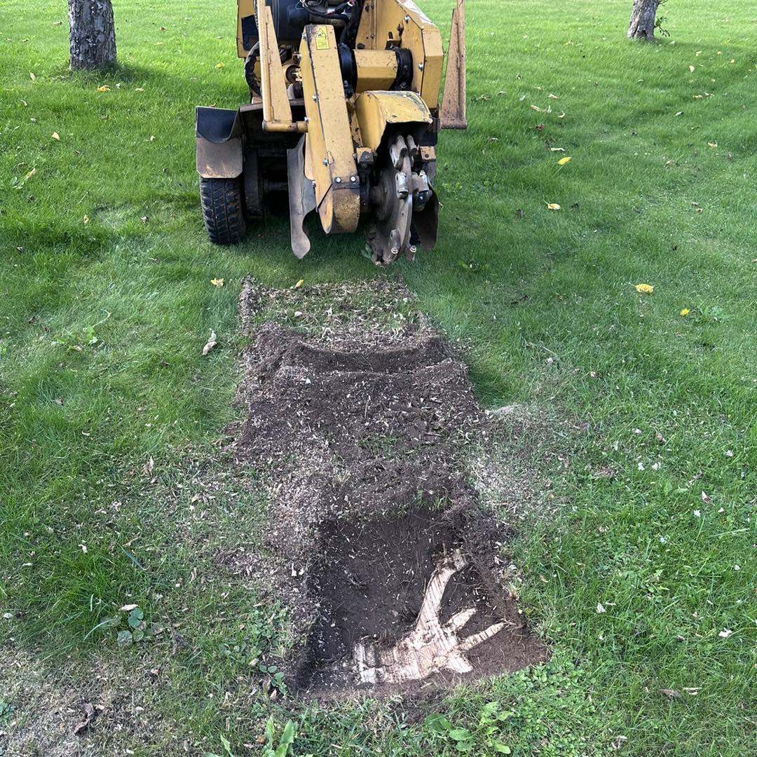 Professionell stubbfräsning i Östergötland