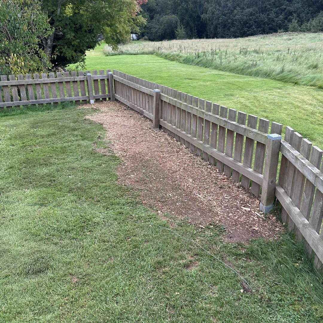 Stubbfräsning – resultat